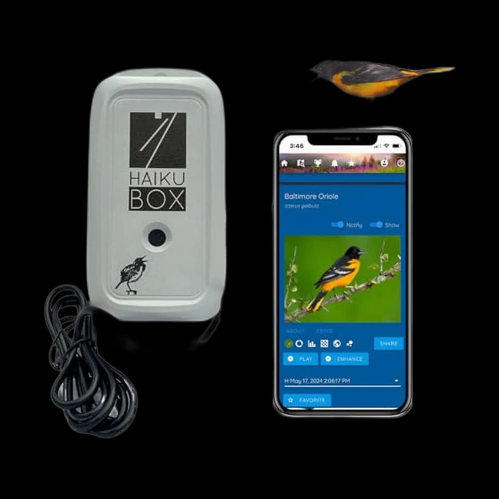 Haikubox Bird Song & Call Identifier: 24/7 backyard sound…